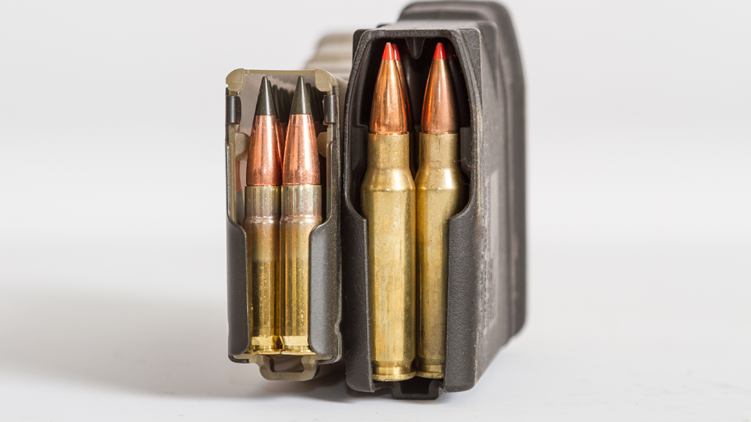 Differences Between the Pair, rifles