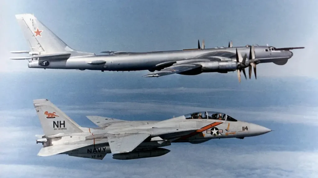 The F-14 Tomcat