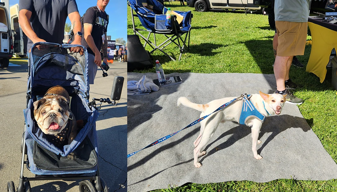 Dog were truly a highlight of the SoCal event.